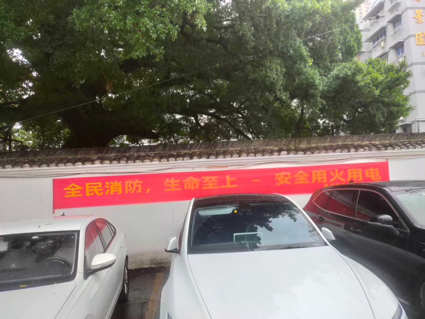 至尊国际 – 至尊服务,至尊享受